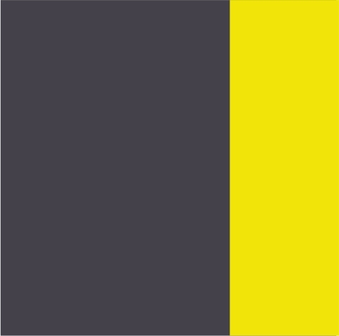 Slate-Neon Yellow