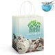 Large Paper Carry Bag - Full Colour