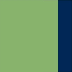 Cool Lime-Navy
